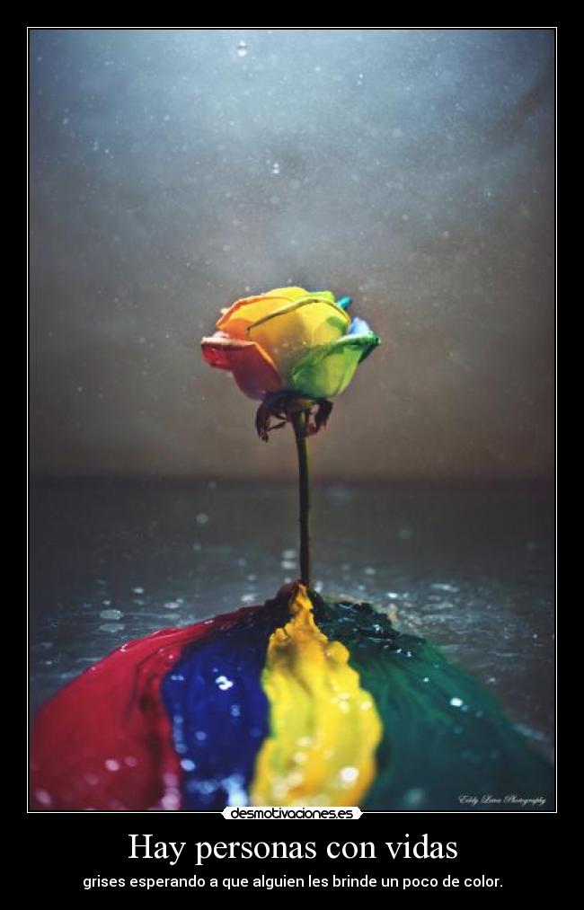 Hay personas con vidas -
