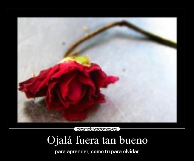 Ojalá fuera tan bueno -