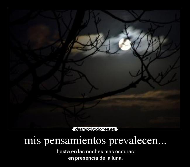 mis pensamientos prevalecen... - hasta en las noches mas oscuras
en presencia de la luna.