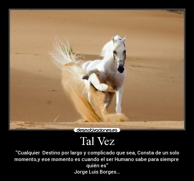 Tal Vez -