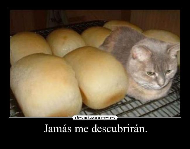 Jamás me descubrirán. -