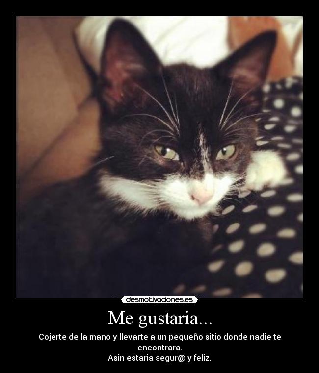 Me gustaria... - Cojerte de la mano y llevarte a un pequeño sitio donde nadie te encontrara.
Asin estaria segur@ y feliz.