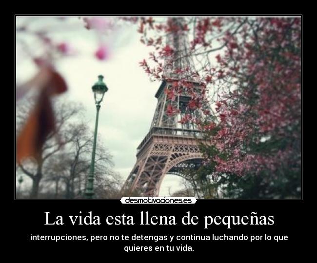 La vida esta llena de pequeñas - interrupciones, pero no te detengas y continua luchando por lo que quieres en tu vida.