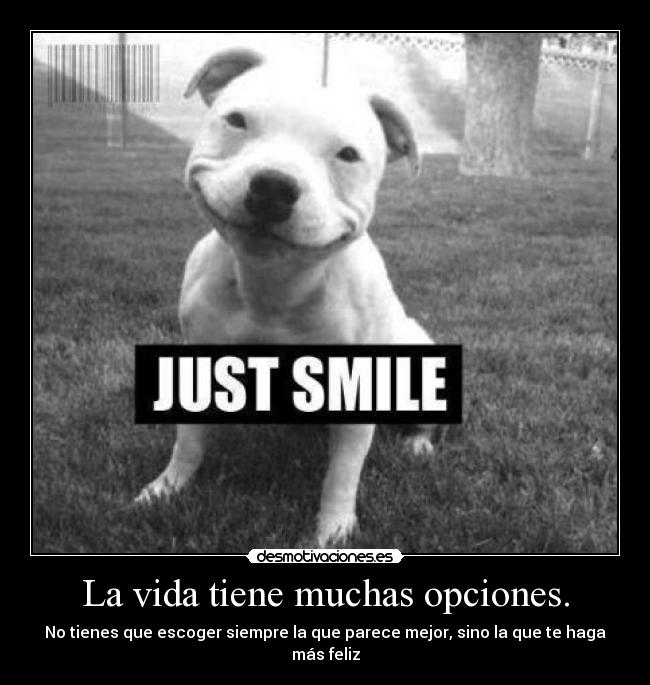 carteles vida vida desmotivaciones