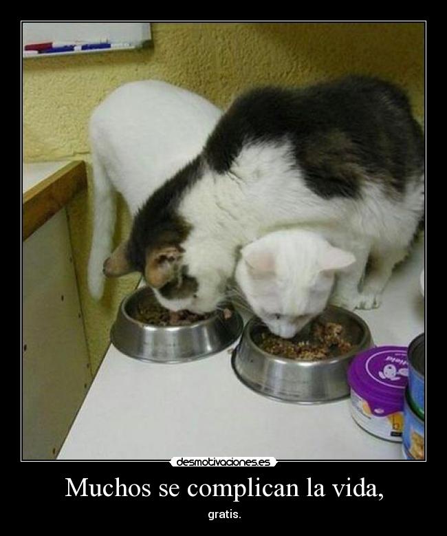 Muchos se complican la vida, - gratis.