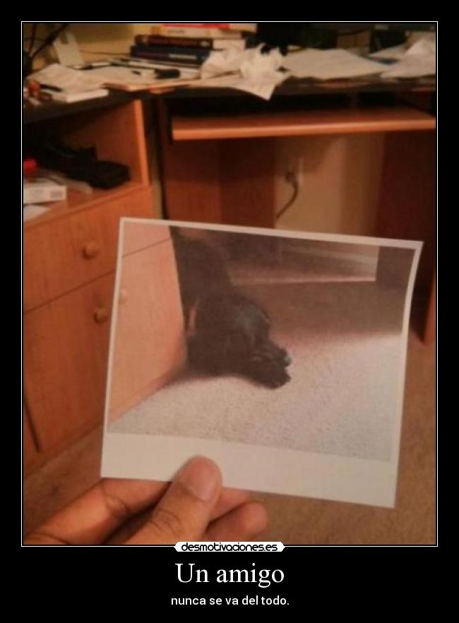 Un amigo - 