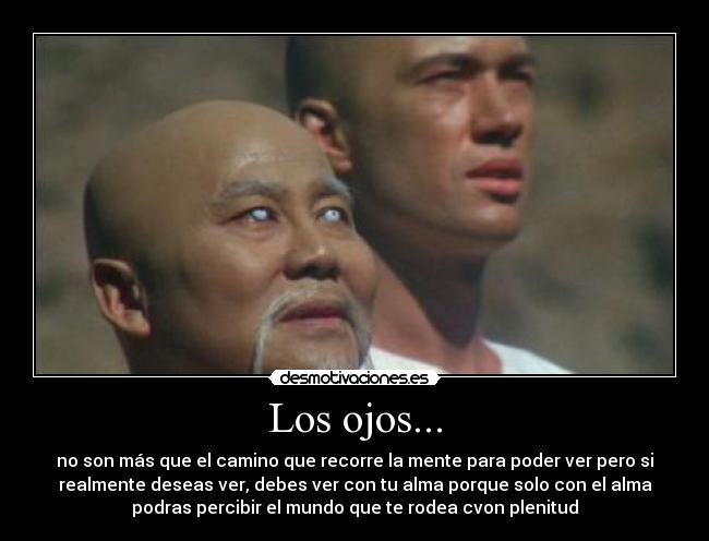 carteles kungfu desmotivaciones