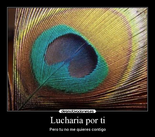 Lucharia por ti -