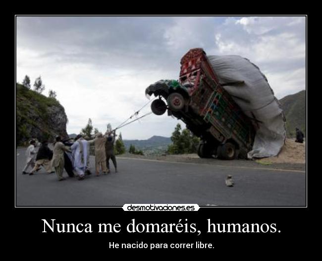 Nunca me domaréis, humanos. - 