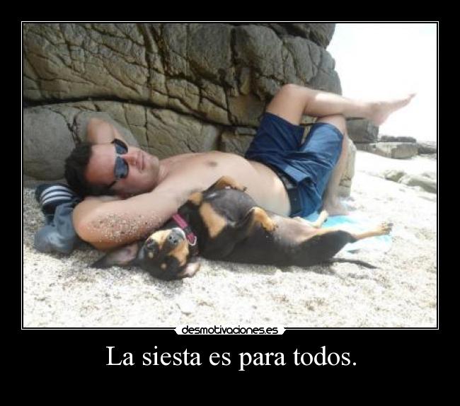 La siesta es para todos. -