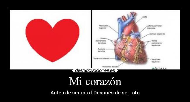 Mi corazón - Antes de ser roto l Después de ser roto
