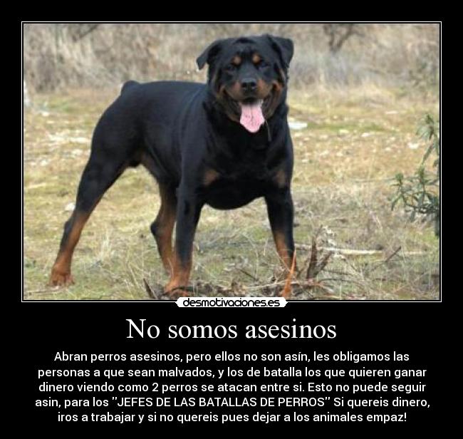 carteles as0825 desmotivaciones