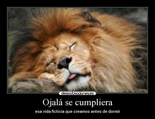 Ojalá se cumpliera -