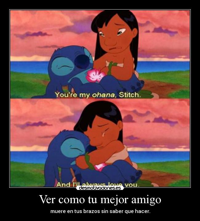 Ver como tu mejor amigo - 