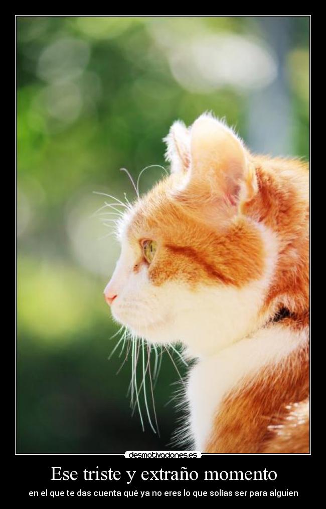 Ese triste y extraño momento -