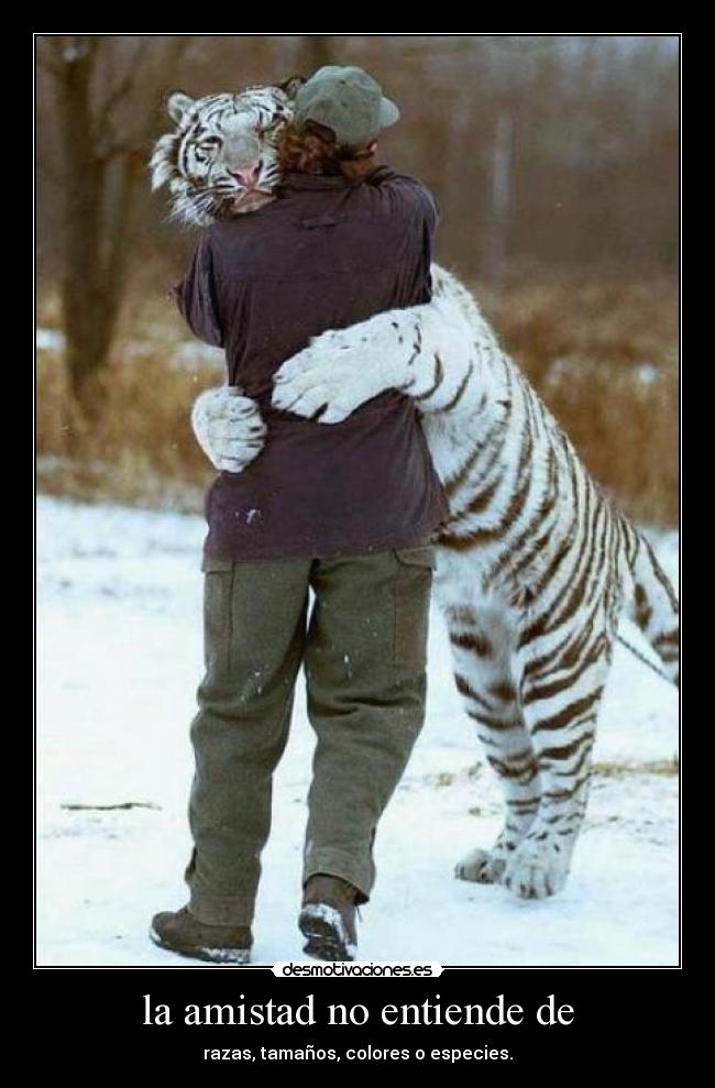 la amistad no entiende de -