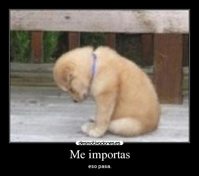 Me importas -
