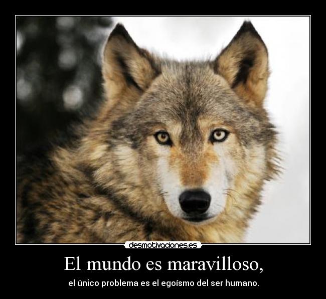 El mundo es maravilloso, - el único problema es el egoísmo del ser humano.
