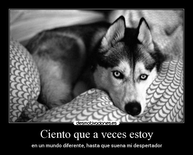 Ciento que a veces estoy - en un mundo diferente, hasta que suena mi despertador