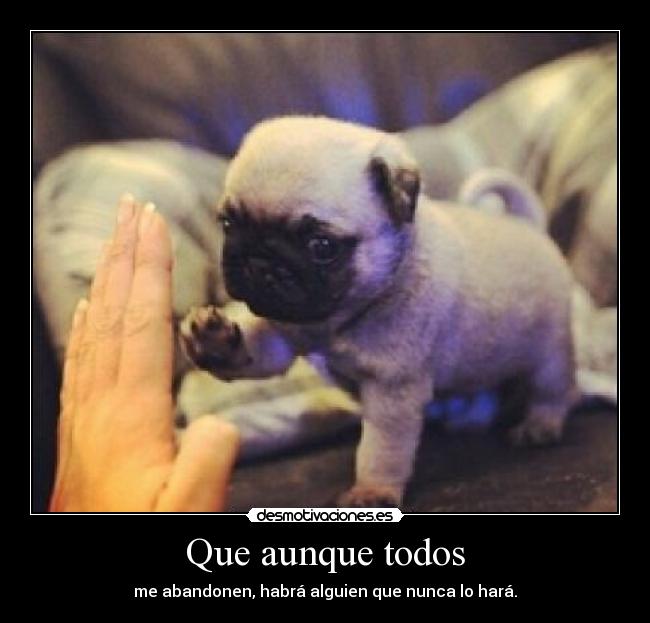 Que aunque todos - me abandonen, habrá alguien que nunca lo hará.