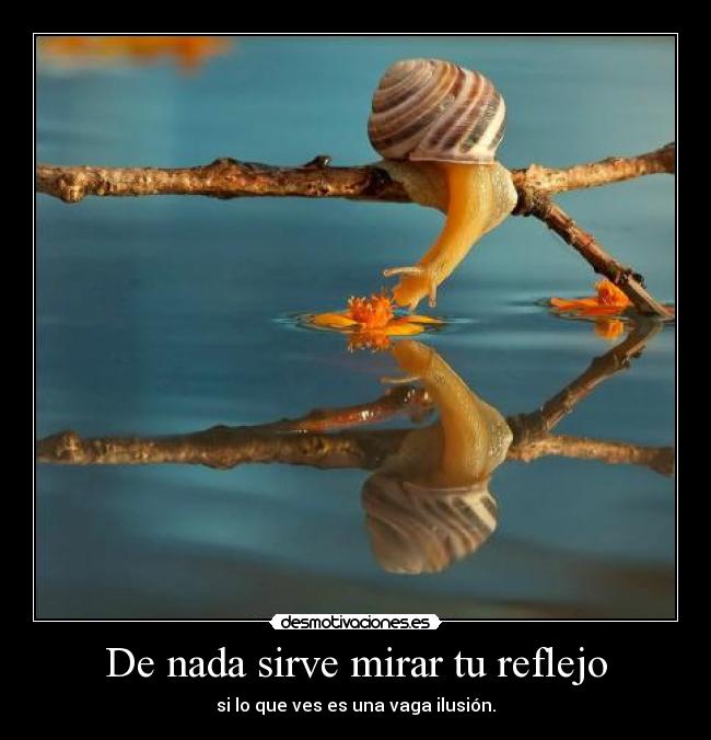 carteles confies nada que parece desmotivaciones