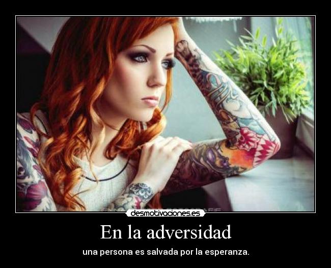 carteles miro otro lado evitando que verdad siga todas partes desmotivaciones