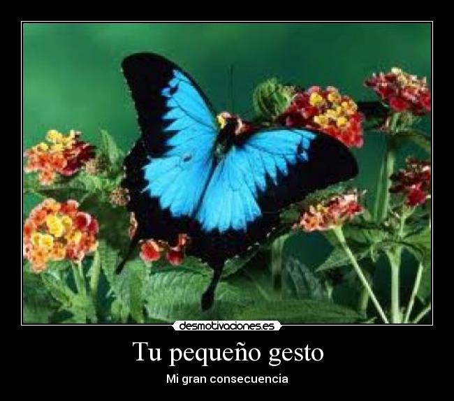 Tu pequeño gesto - Mi gran consecuencia