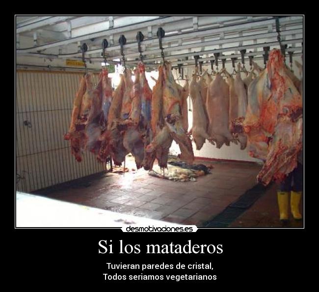 Si los mataderos -