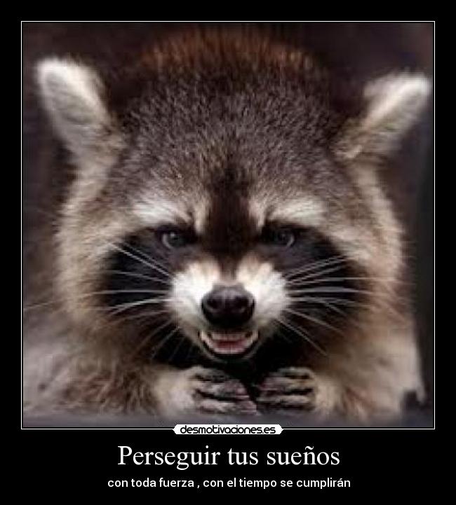Perseguir tus sueños - 
