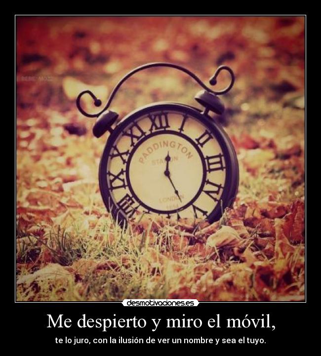 Me despierto y miro el móvil, -