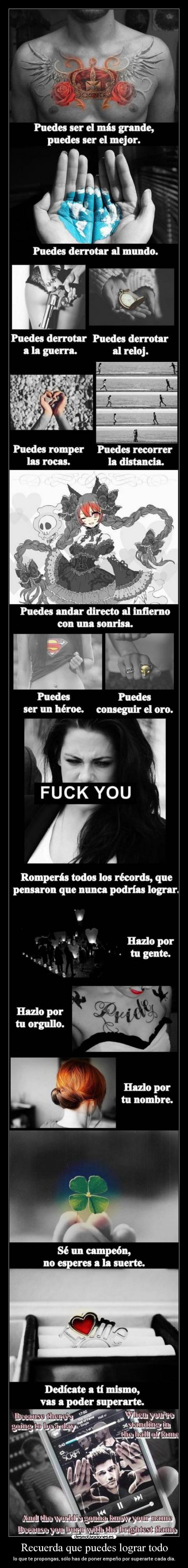 carteles badgirl hall fame the script fotos retocadas por mi lucha por sueno desmotivaciones