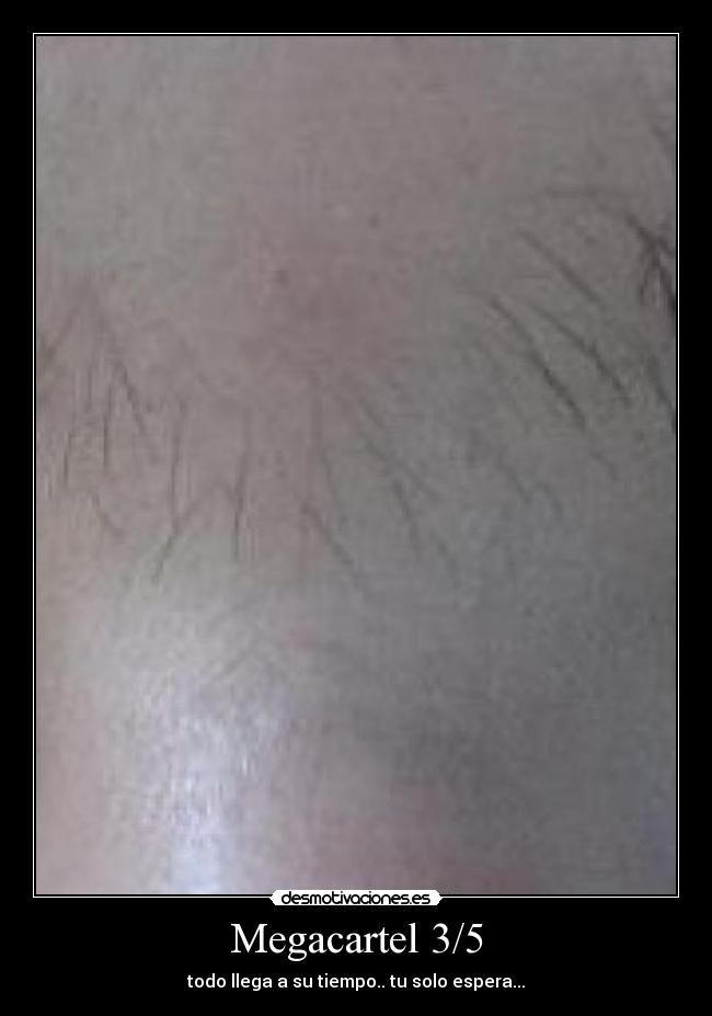 Megacartel 3/5 - 