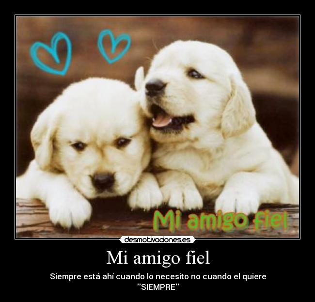 Mi amigo fiel - Siempre está ahí cuando lo necesito no cuando el quiere
SIEMPRE