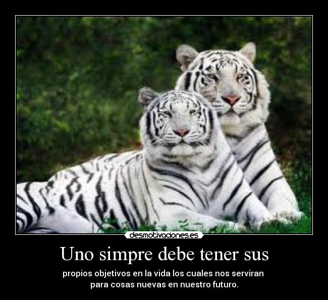 carteles alta desmotivaciones