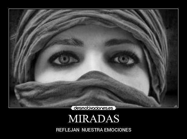 carteles am08 desmotivaciones