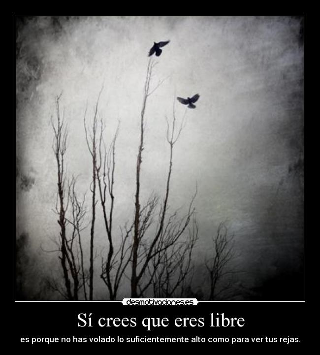 Sí crees que eres libre - 