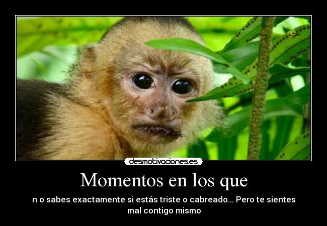 Momentos en los que - n o sabes exactamente si estás triste o cabreado... Pero te sientes mal contigo mismo