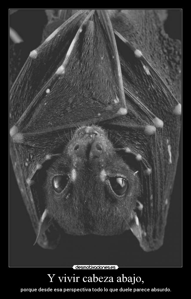 Y vivir cabeza abajo, - 