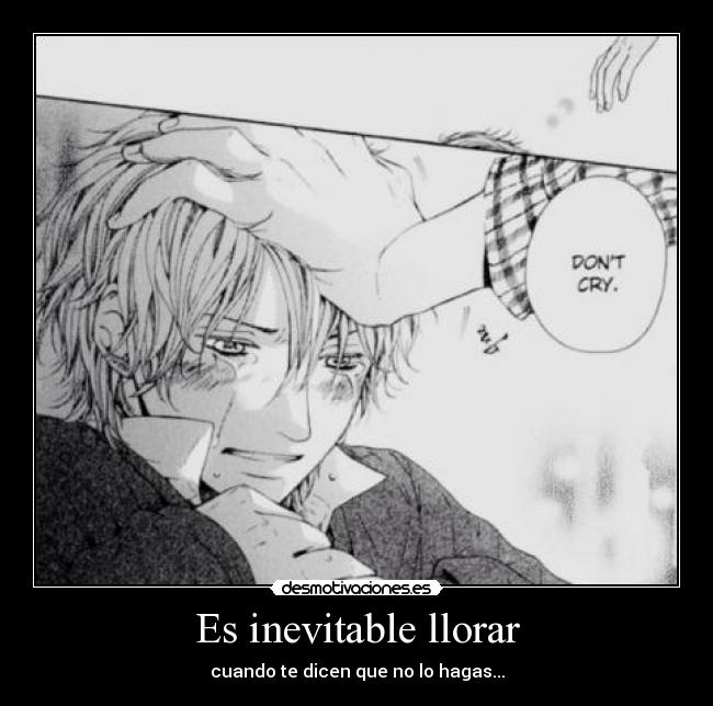 Es inevitable llorar -