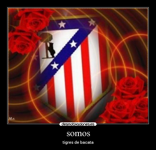 carteles bogota desmotivaciones