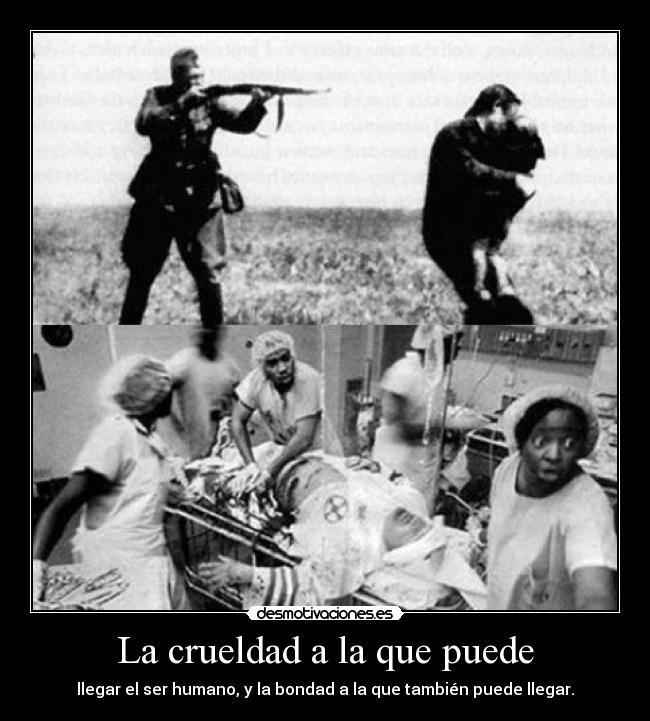 La crueldad a la que puede -