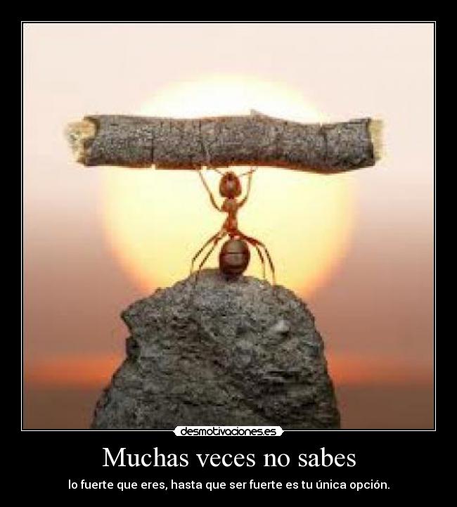 Muchas veces no sabes - 