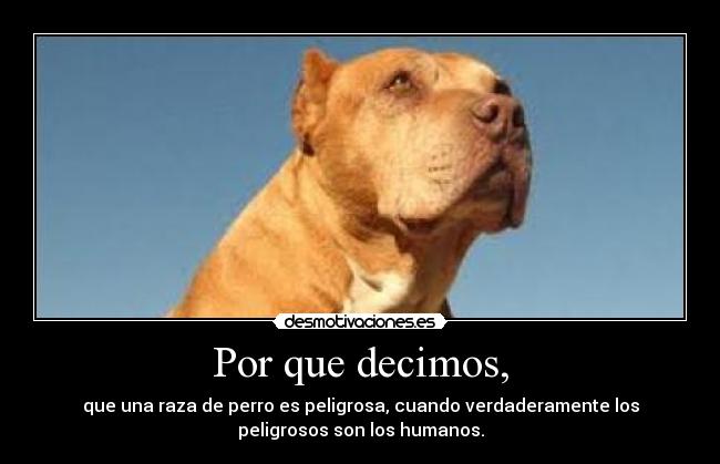 carteles por que decirmos desmotivaciones