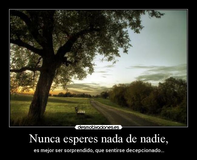 Nunca esperes nada de nadie, - es mejor ser sorprendido, que sentirse decepcionado...