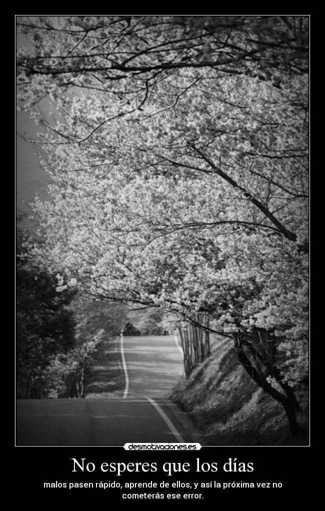 carteles clanbigotitos desmo02 vino inspiracion jajaa guaise 22333sara happyaface quiero princi desmotivaciones