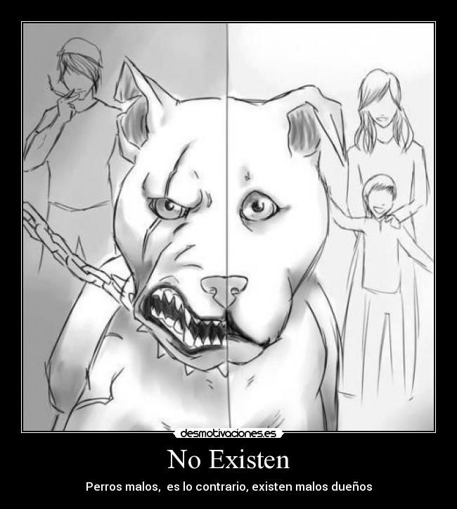 No Existen - Perros malos, es lo contrario, existen malos dueños