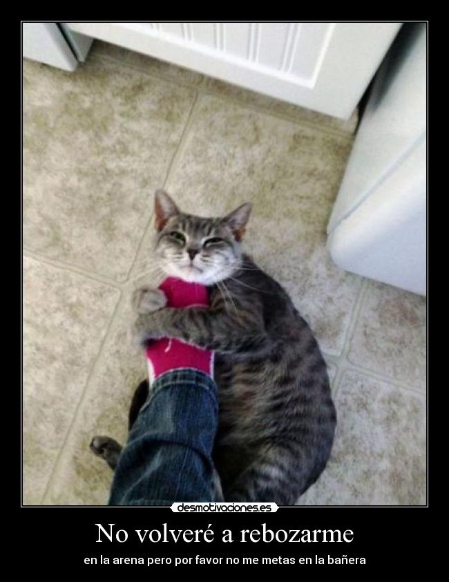 No volveré a rebozarme -