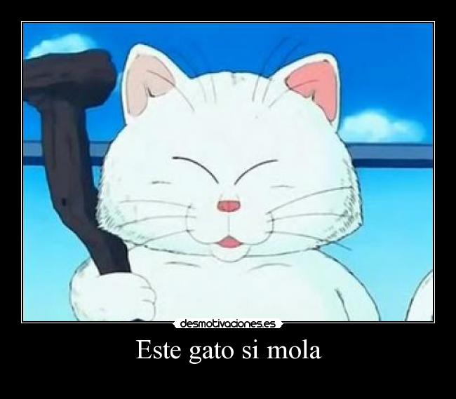 Este gato si mola -