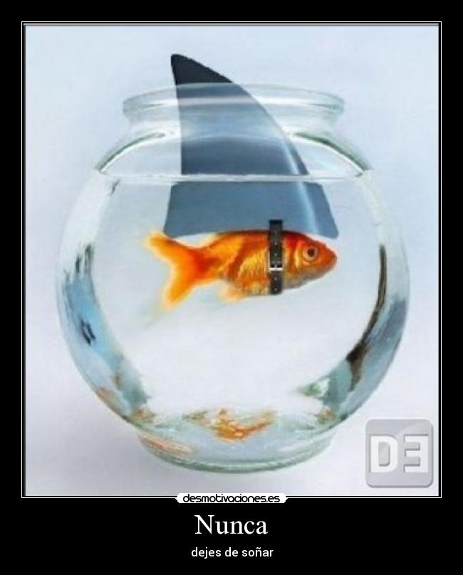 Nunca - dejes de soñar