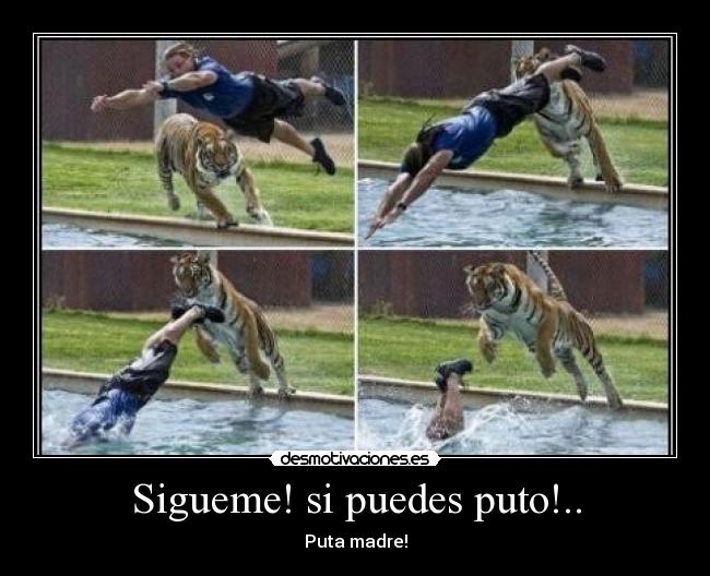 Sigueme! si puedes puto!.. - 